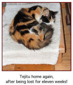 Tejitu home again, after being lost for eleven weeks