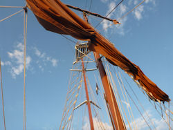 looking up at the sails