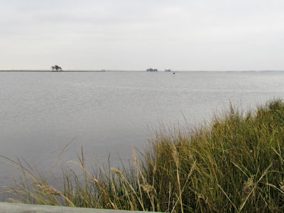 island on a foggy day