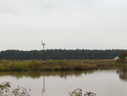 osprey cam nest