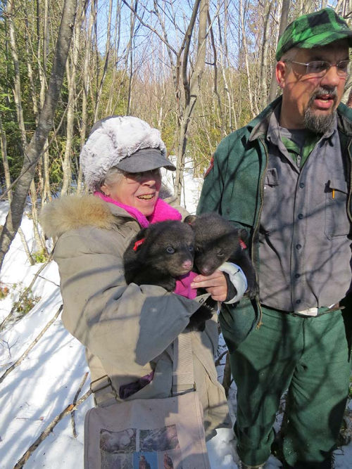 Judy holding bear cubs, with Randy providing support