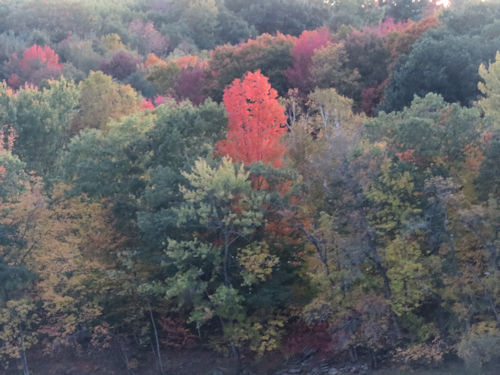 fall colors, Lewiston Maine