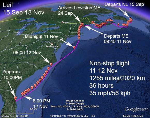 Leif's migration route, courtesy of Rob Bierregaard and Ospreytrax